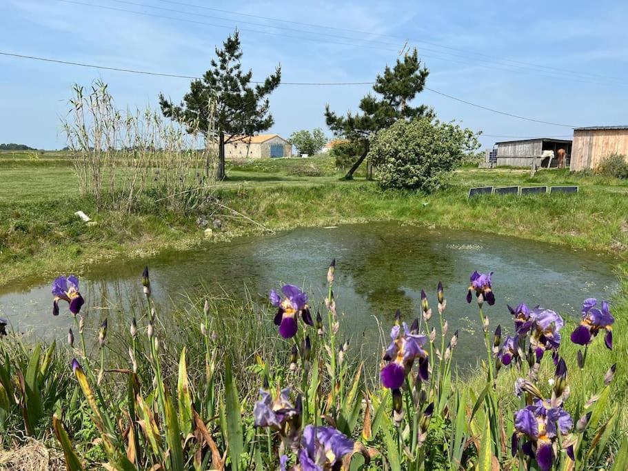 Maison De Charme Au Coeur Des Marais Pour 6 Pers. Bouin  Exterior foto